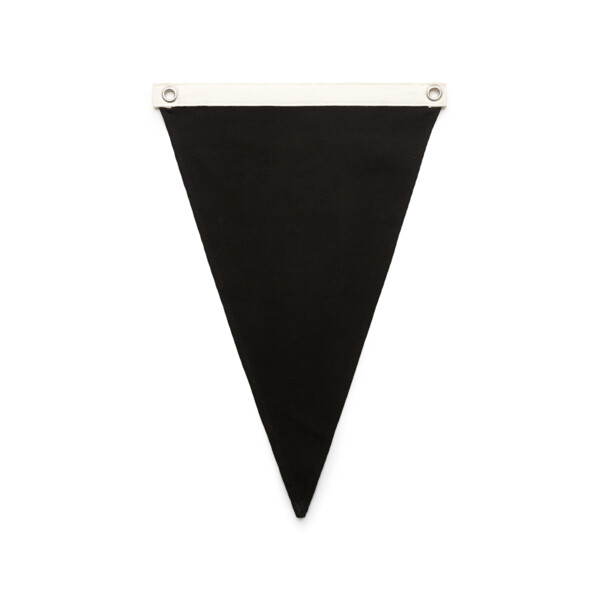Canvas Pennant Flag Thumbnail